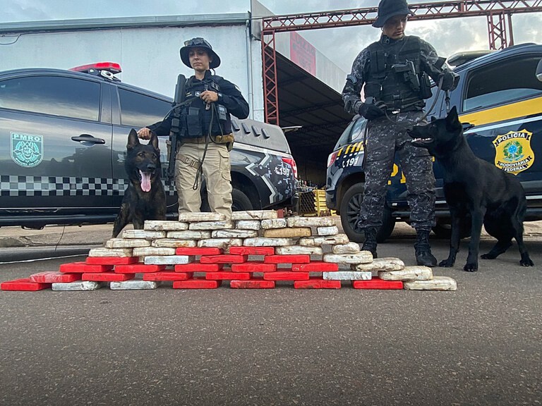 Durante operação conjunta, PRF e PM apreendem quase 50 quilos de cocaína, na BR-364