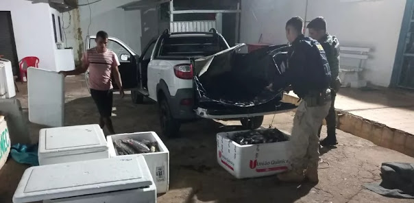 Pescador profissional é detido ao ser flagrado com mais de 400 kg de peixe na BR-364 em Rondônia