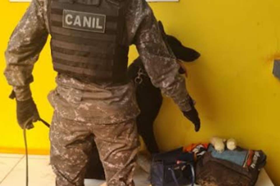 Cão do Batalhão de Choque encontra cocaína com passageira em ônibus