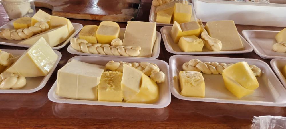 Mulheres do campo participam de treinamento sobre a arte da fabricação de produtos derivados do leite.