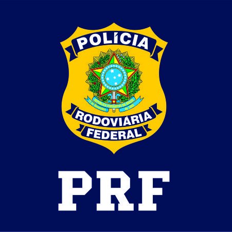 PRF apreende duas armas de fogo e munições em RO