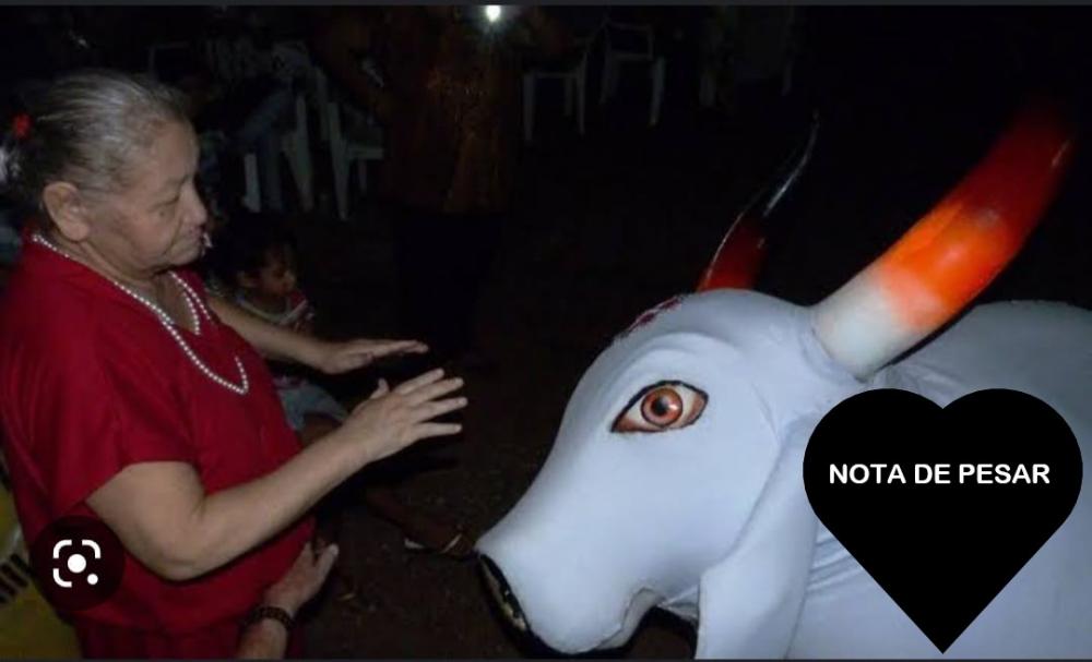 NOTA DE PESAR 