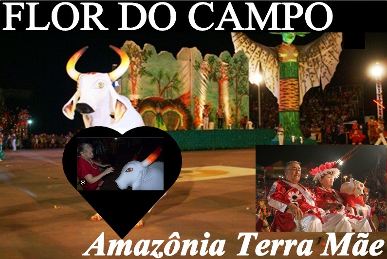 GUAJARÁ - MIRIM: HISTÓRIA, CULTURA, FOLCLORE E LUTO!