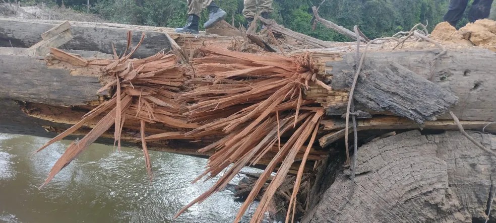 PF destrói ponte utilizada como rota para garimpo ilegal de ouro em Terra Indígena de Rondônia