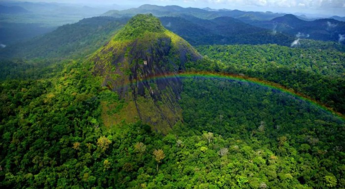 Helicóptero com três pessoas a bordo desaparece na floresta amazônica