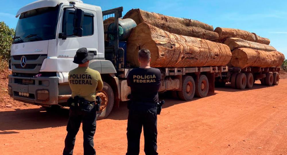 PF Rondônia apreende caminhão com madeira ilegal extraída de terra indígena