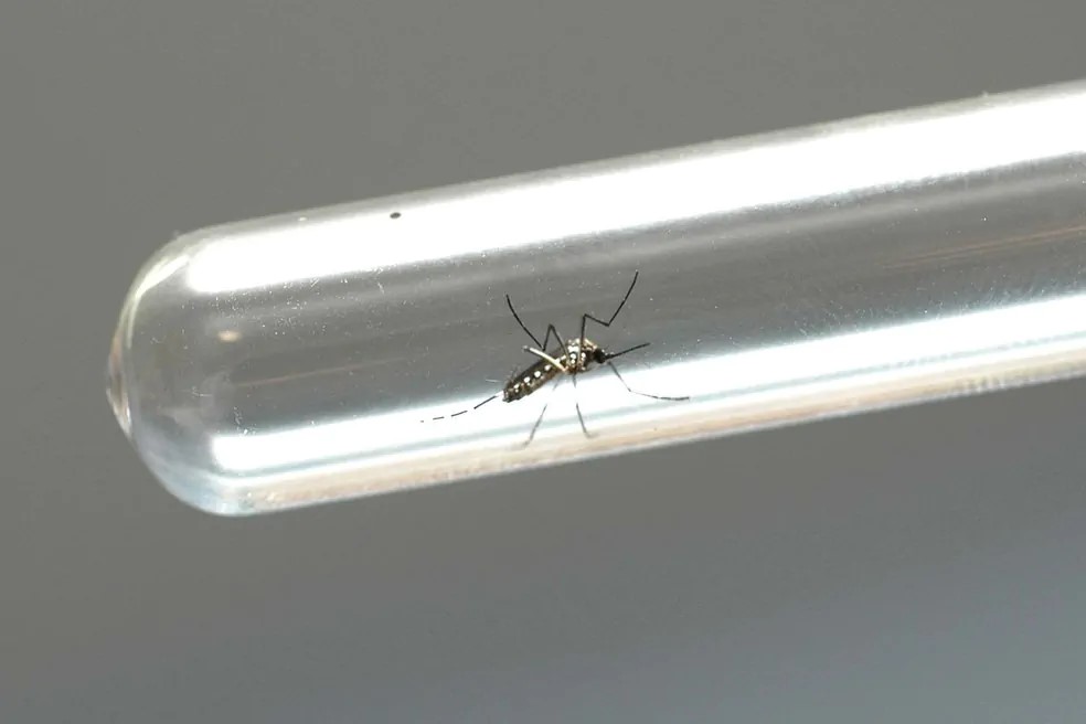 Ministério da Saúde confirma primeira morte do ano por dengue em Rondônia