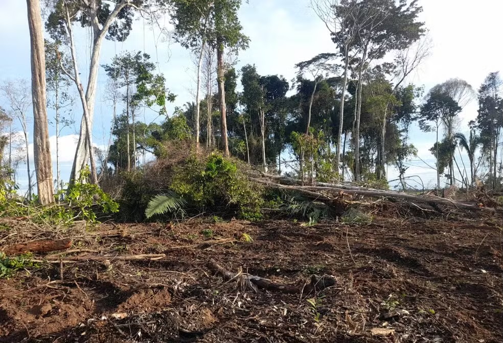 Área desmatada superior a 70 campos de futebol é embargada em operação após o carnaval em Rondônia