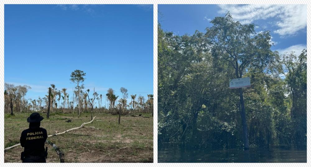 Polícia Federal realiza operação no Parque Nacional Serra da Cutia em Rondônia