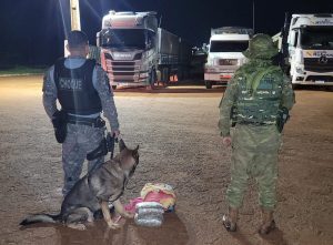 Mulher presa por tráfico disse que é a terceira vez que transportava drogas para a Capital