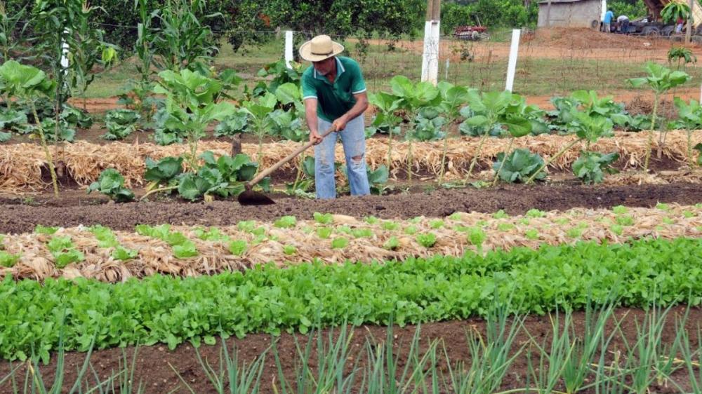 Dra. Taíssa solicita qualificação de agricultores para período de seca severa em Rondônia