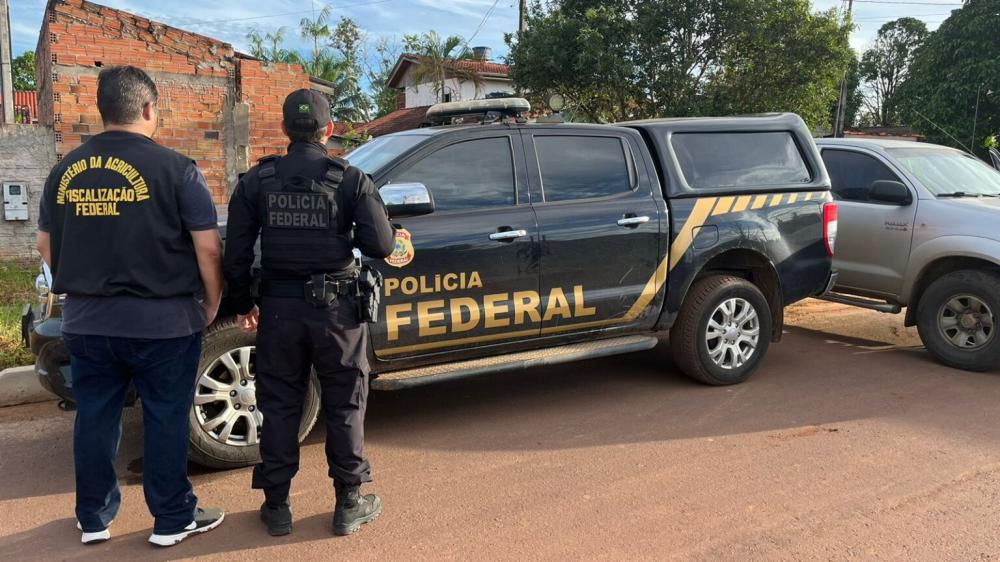 FAKE STRONG: PF RO deflagra operação em combate aos crimes de contrabando e venda de produtos falsificados