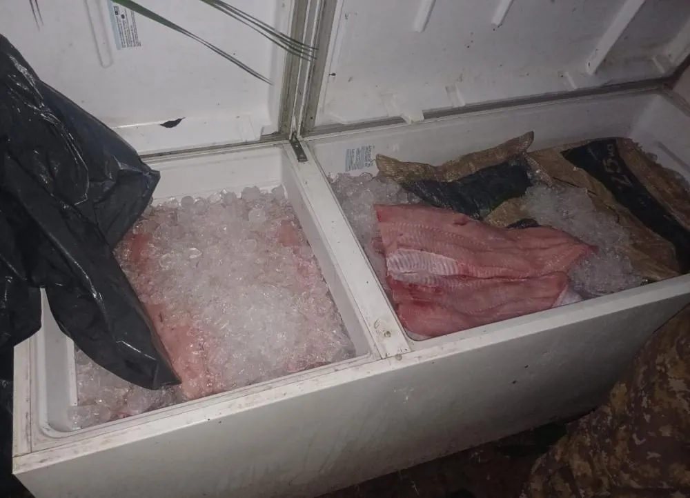 POLÍCIA AMBIENTAL APREENDE 150 KG DE PESCADO IRREGULAR NO DISTRITO DE JACI-PARANÁ