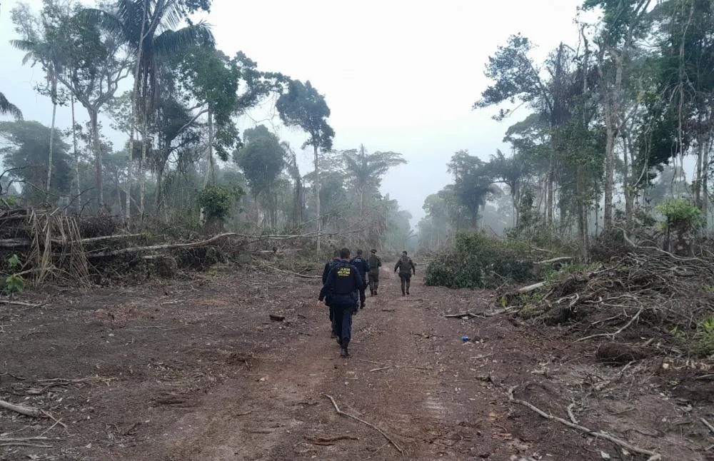 OPERAÇÃO PROTETOR DO BIOMA: IMAGENS DE SATÉLITE REVELAM DESMATAMENTO ILEGAL EM SÃO FRANCISCO DO GUAPORÉ