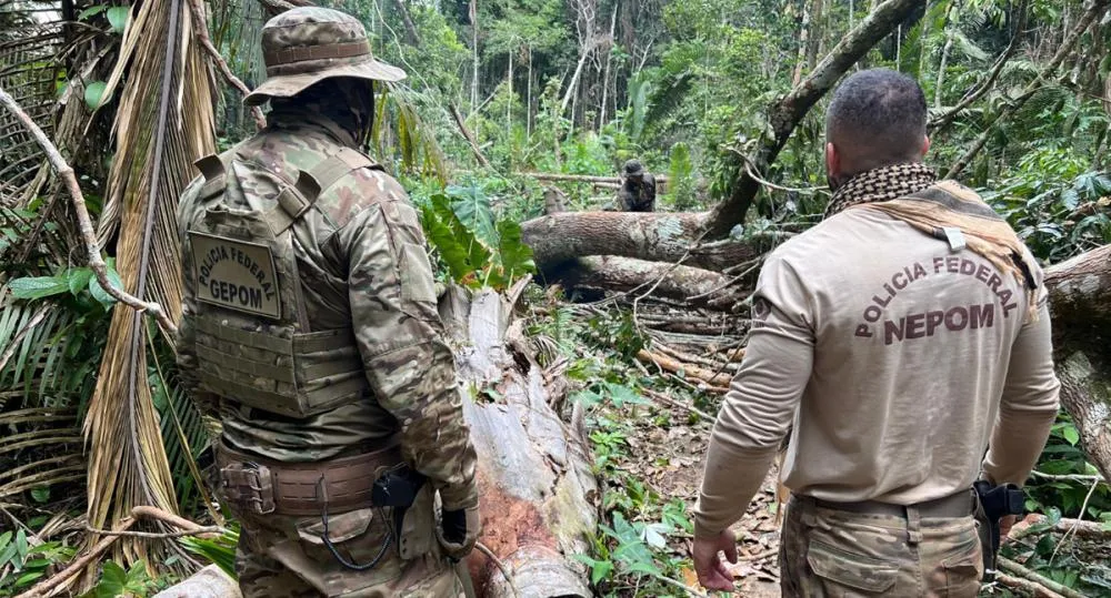 PF deflagra operação para combate a crimes na Terra Indígena Igarapé Laje