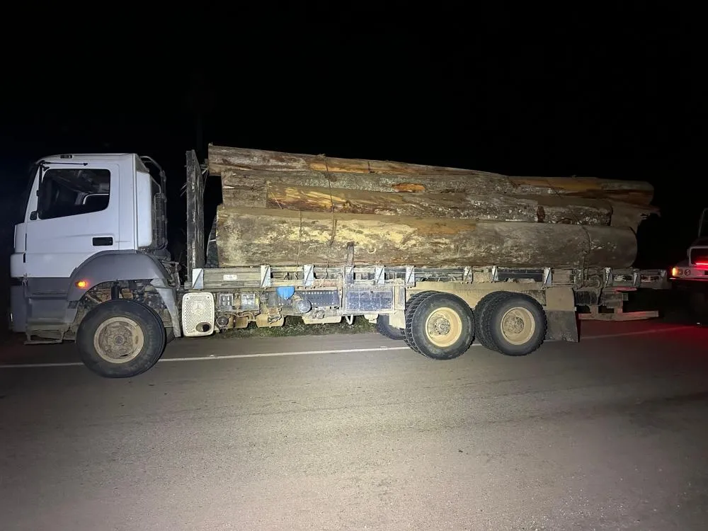 POLÍCIA MILITAR DE RONDÔNIA APREENDE TRÊS CAMINHÕES COM MADEIRA EXTRAÍDA ILEGALMENTE