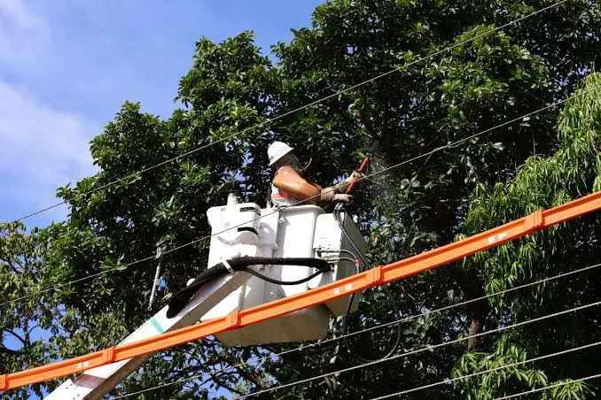 Dra. Taíssa cobra melhorias e Energisa inicia manutenção na Aldeia Tanajura, em Guajará-Mirim