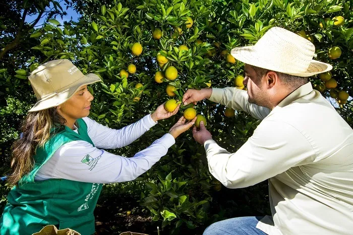 Curso de Fruticultura será incluído na grade do Idep após indicação da Dra. Taíssa