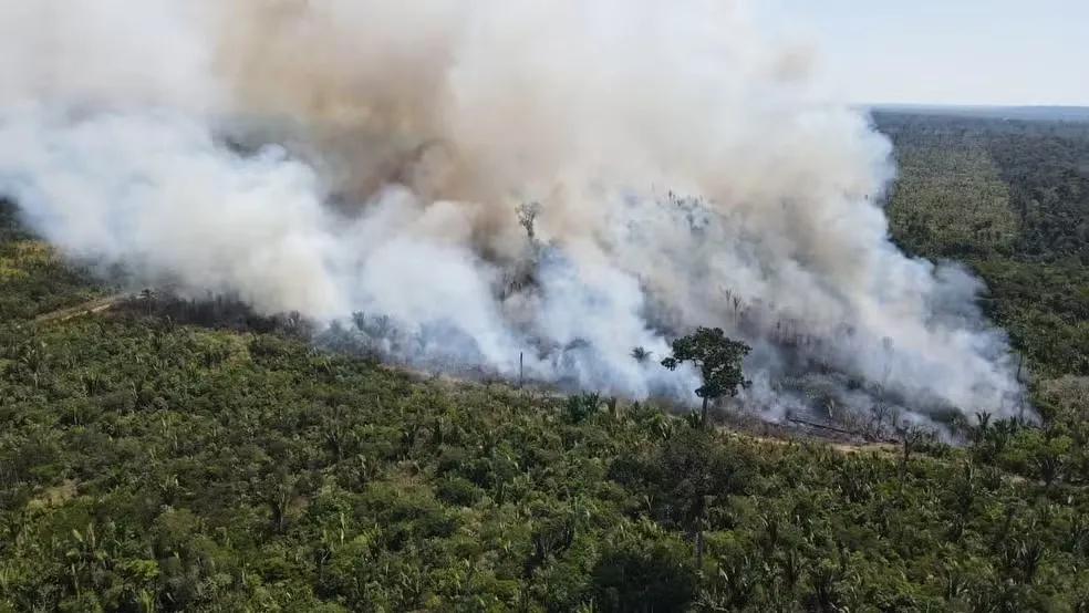Queimadas em Rondônia: Setembro Registra Aumento Alarmante
