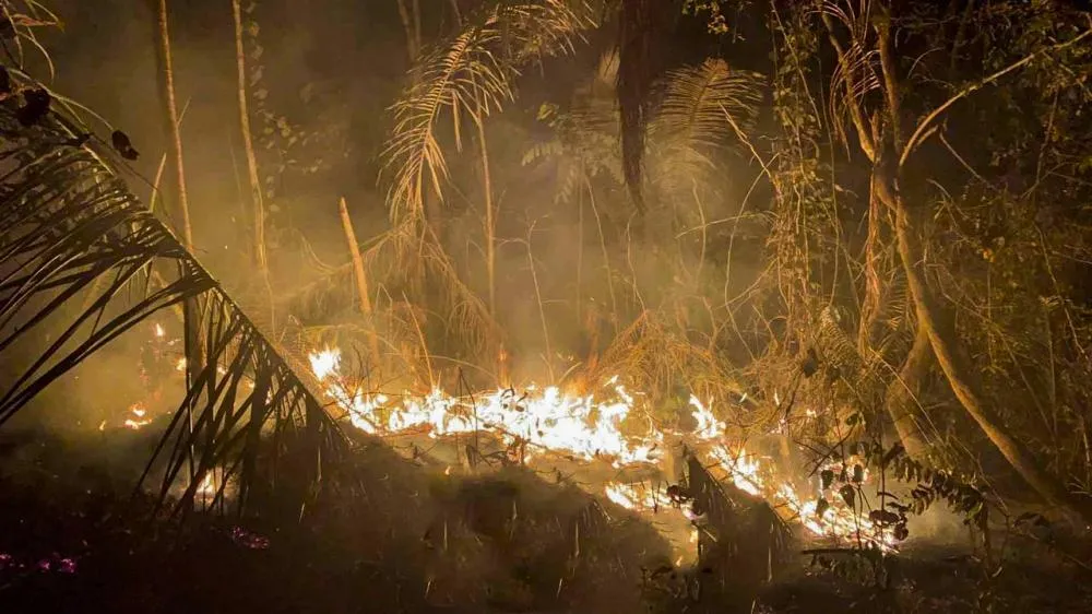 Justiça Federal determina contratação emergencial de brigadistas e reforço no combate às queimadas em Rondônia
