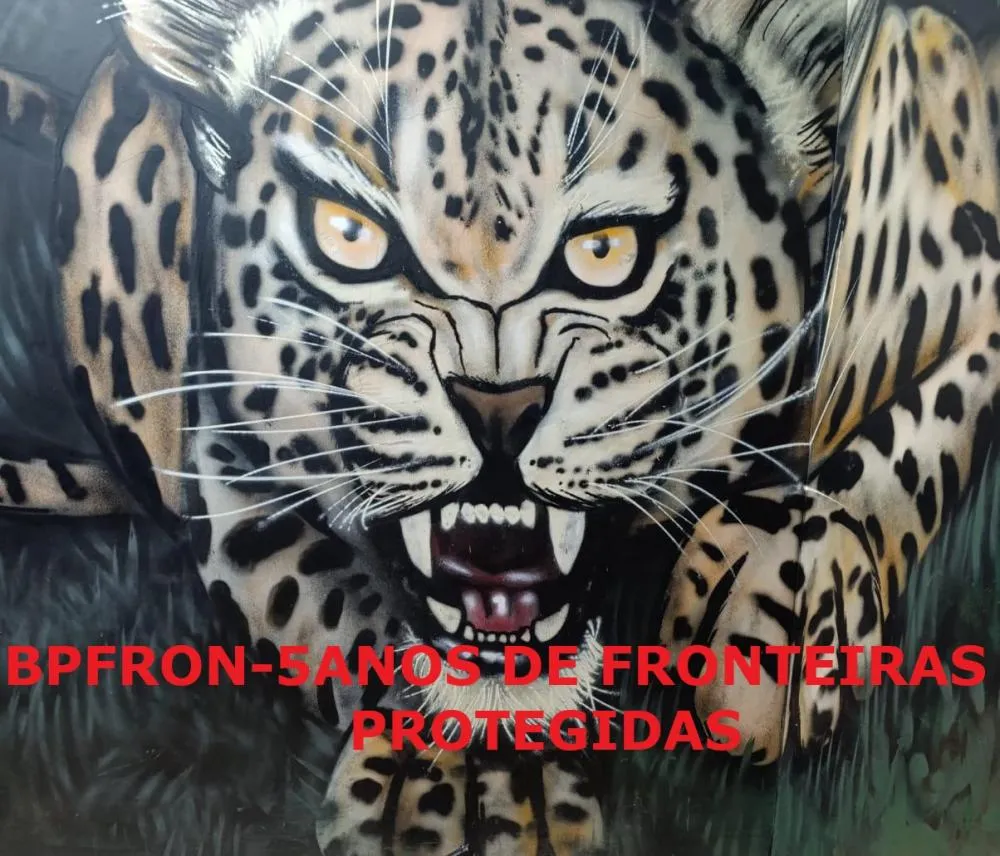 BPFRON CINCO ANOS DE FRONTEIRAS PROTEGIDAS