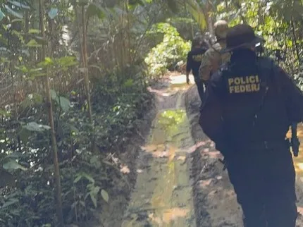 PF e PM realizam operação em reserva índigena e flagram exploração ilegal de madeira