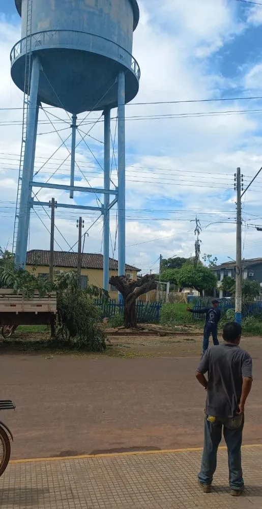 GUAJARÁ NOTÍCIAS DESTACA PROBLEMA, PREFEITURA RESOLVE SITUAÇÃO DE ÁRVORE EM CENTRO COMERCIAL