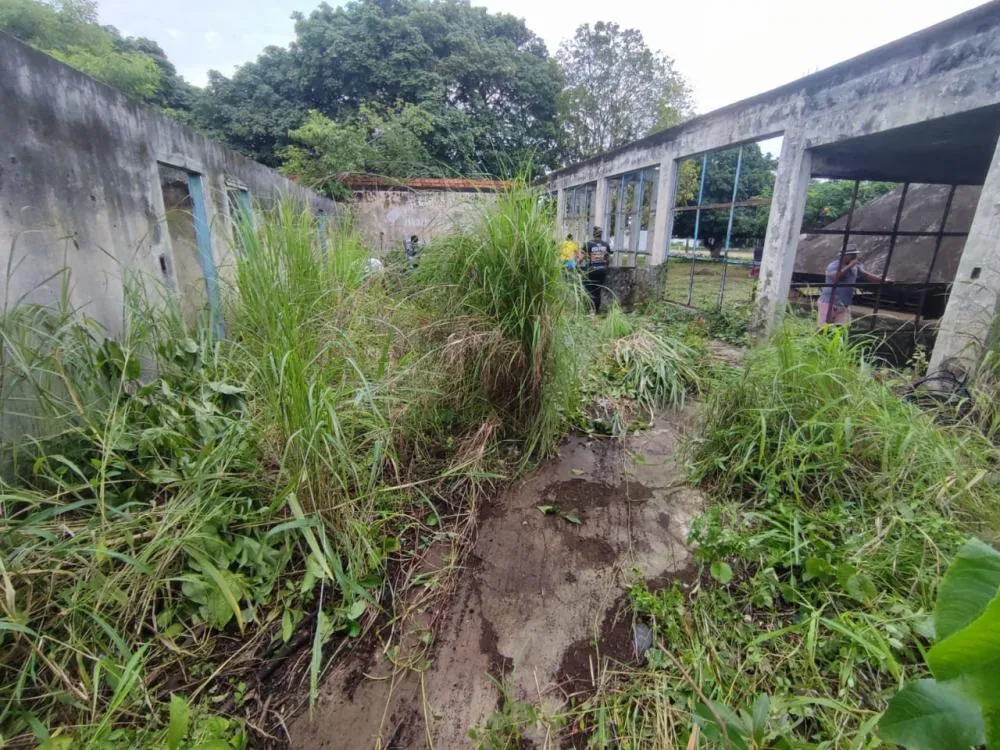 Mutirão de limpeza voluntária na Biblioteca Municipal de Guajará-Mirim reforça cidadania e preservação do patrimônio público