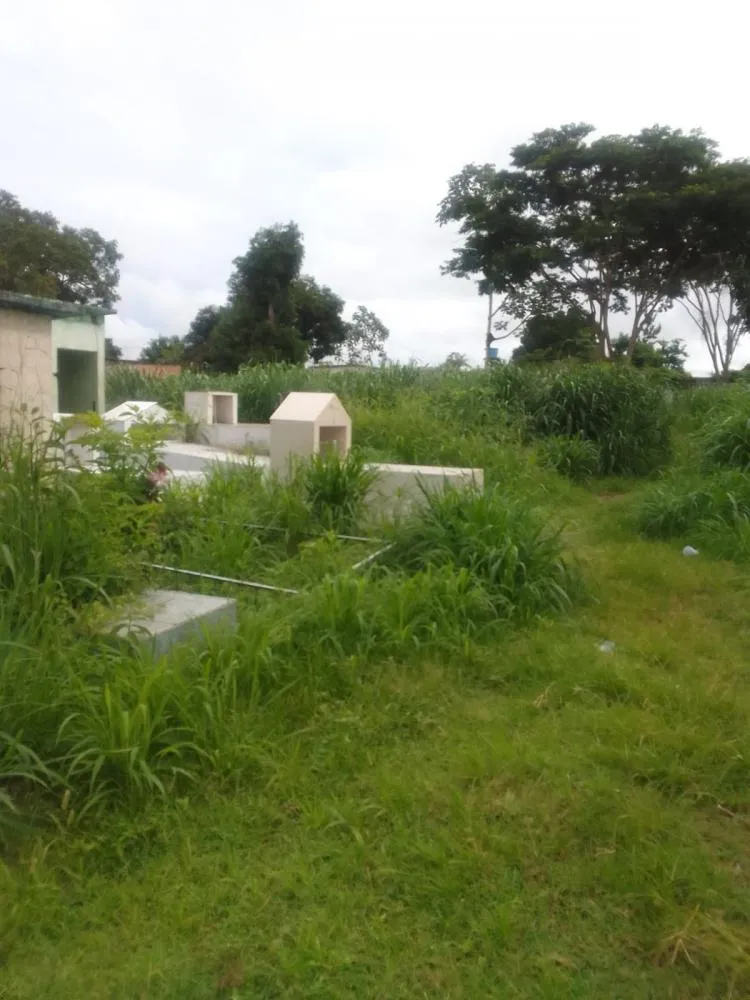 POPULAÇÃO PEDE PROVIDÊNCIAS URGENTES NO CEMITÉRIO SANTA CRUZ EM GUAJARÁ-MIRIM