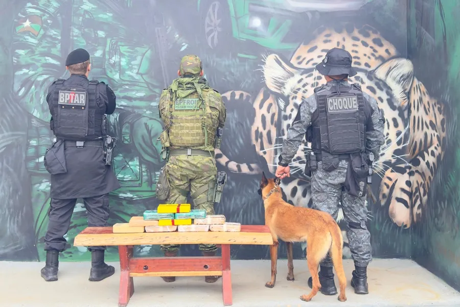 FORÇA POLICIAL INTERCEPTA VEÍCULO SAVEIRO COM 10 QUILOS DE COCAÍNA NA BR 425