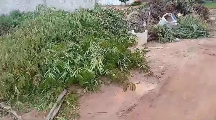 MORADORES DO BAIRRO SERRARIA AGUARDAM ANSIOSOS PELA CONCLUSÃO DA LIMPEZA DE ENTULHOS