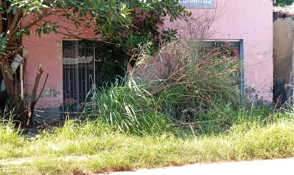  GUAJARÁ-MIRIM: POPULAÇÃO EXIGE AÇÃO CONTRA TERRENOS E PRÉDIOS ABANDONADOS