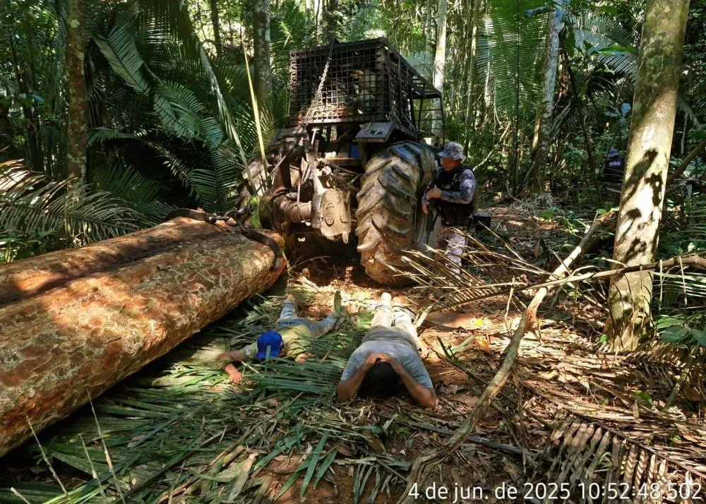 FISCALIZAÇÃO EM TERRAS INDÍGENAS DE NOVA MAMORÉ RESULTA NA DETENÇÃO POR CRIME AMBIENTAL