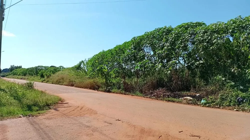 MORADORES DA AVENIDA ANTÔNIO LUIZ DE MACEDO CLAMAM POR PROVIDÊNCIAS DA PREFEITURA E CÂMARA DE VEREADORES