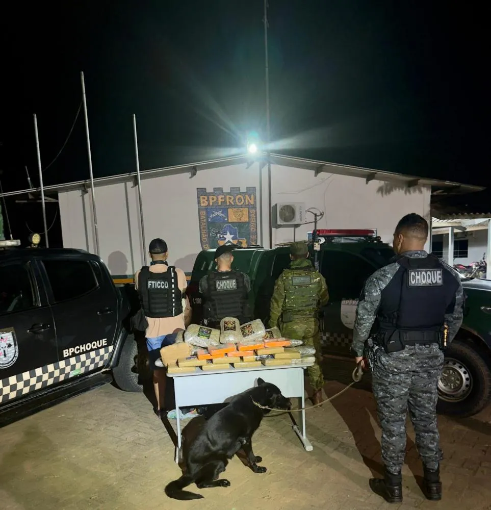 FORÇAS DE SEGURANÇA PÚBLICA APREENDEM GRANDE QUANTIDADE DE DROGAS EM OPERAÇÃO