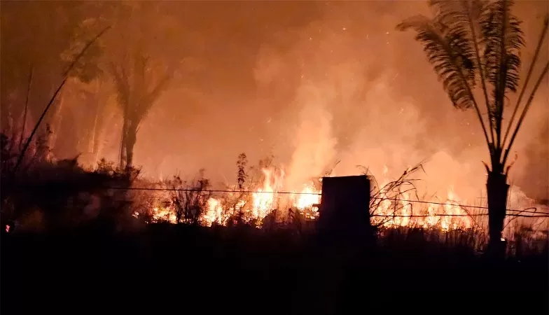 POPULAÇÃO CLAMA POR PROVIDÊNCIAS QUANTO À FISCALIZAÇÃO DAS QUEIMADAS EM TERRENOS BALDIOS E LIXO NOS QUINTAIS EM GUAJARÁ-MIRIM