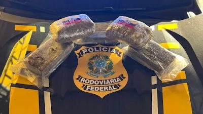 PRF prende 3 pessoas por tráfico de drogas em 1 dia no estado; uma mulher foi detida em Guajará-Mirim