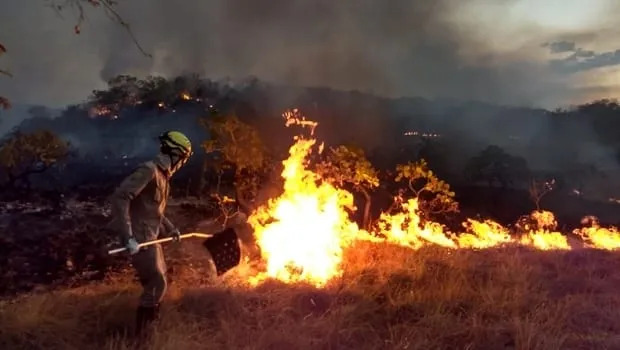 DOIS INCÊNDIOS CAUSADOS POR RAIOS NA ÁREA RURAL DE NOVA MAMORÉ