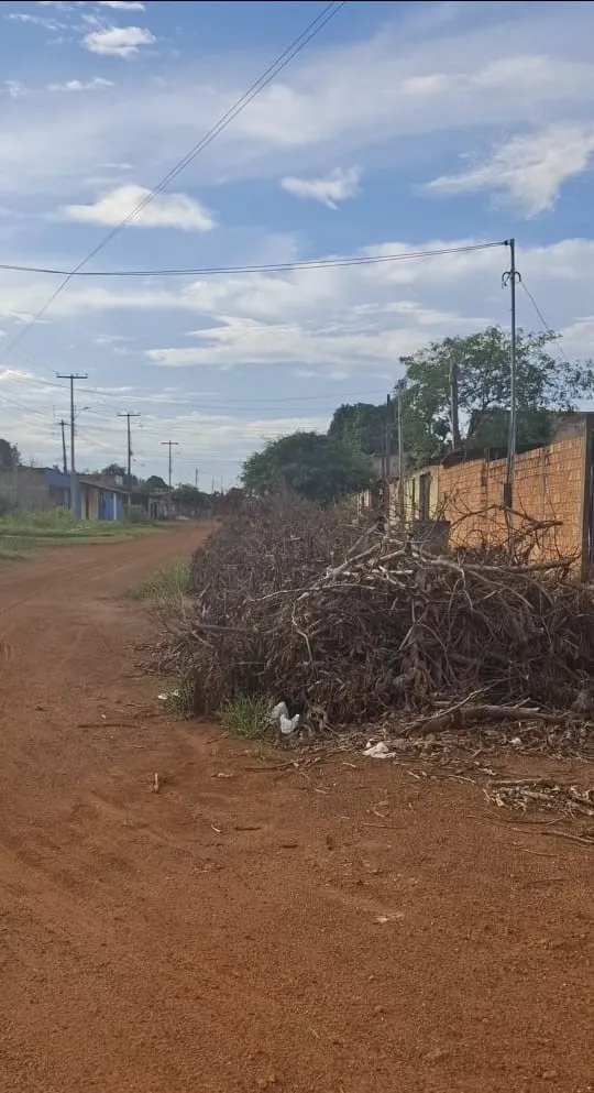 MORADORES DO BAIRRO SANTA LUZIA FAZEM APELO AO PREFEITO NETINHO PARA CONCLUSÃO DA LIMPEZA NO BAIRRO