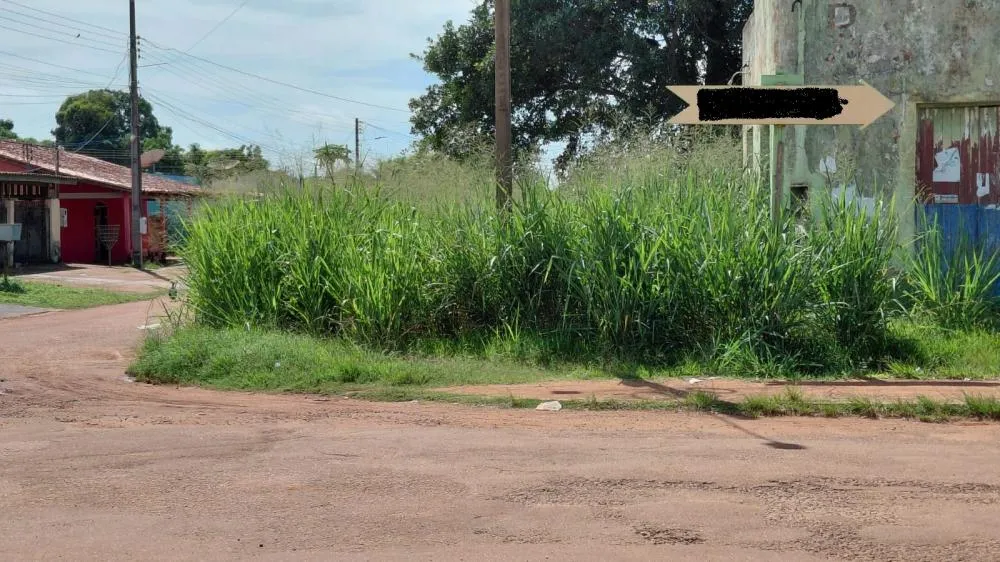URUBUS TOMAM CONTA DE ÁREA URBANA NA PÉROLA DO MAMORÉ, E SITUAÇÃO LIGA ALERTA SOBRE LIMPEZA DE TERRENOS E EDIFICAÇÕES ABANDONADAS