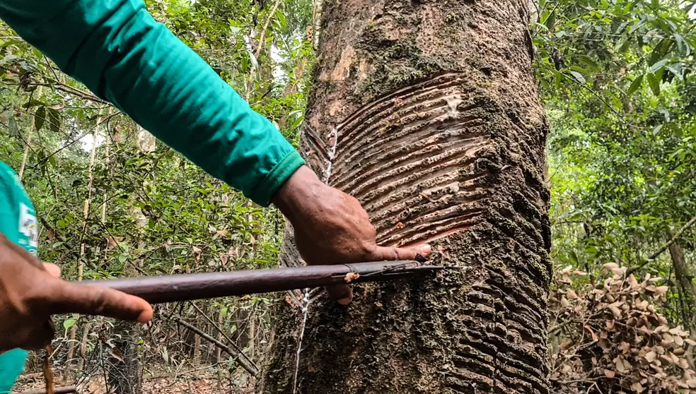 EXTRATJVISTAS MANTÊM TRADIÇÃO E ULTIMO CAFÉ DO ANO ACONTECE DIA 21