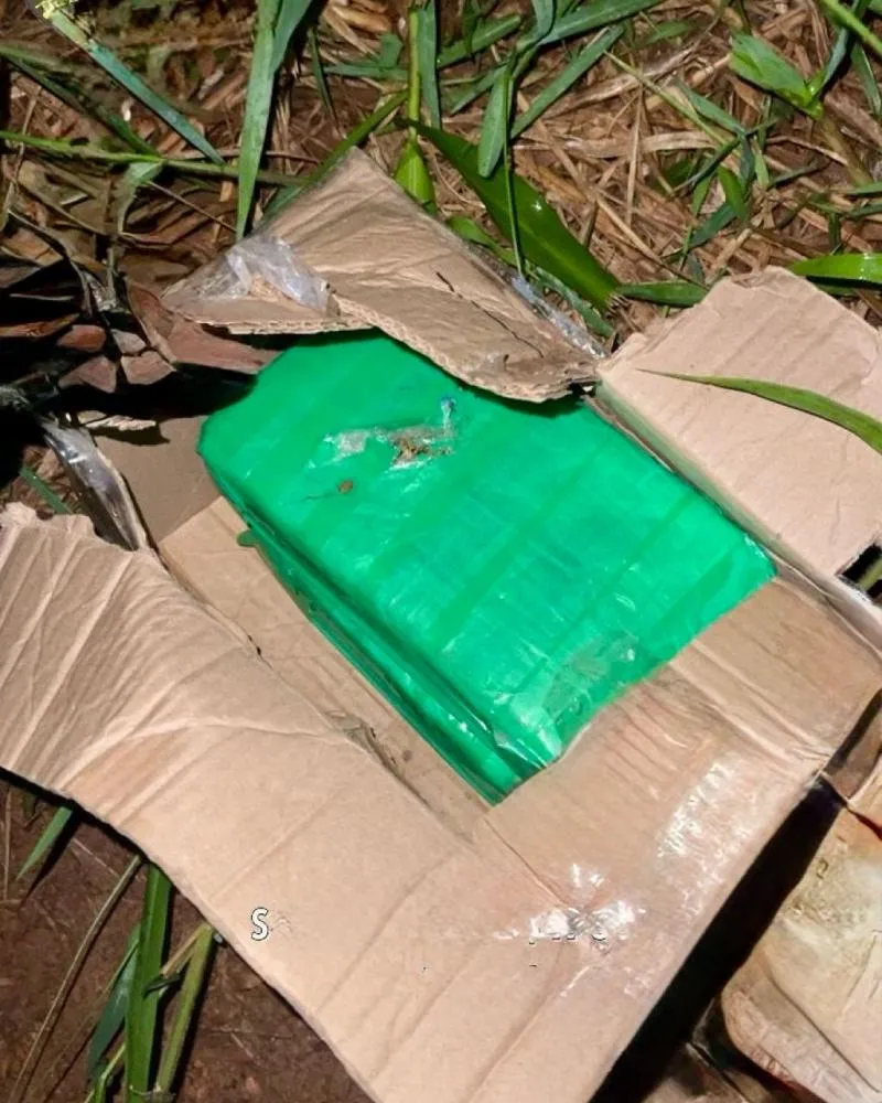 OPERAÇÃO MADEIRA MAMORÉ APREENDE 2 KG DE SKUNK ABANDONADOS POR SUSPEITOS EM GUAJARÁ-MIRIM