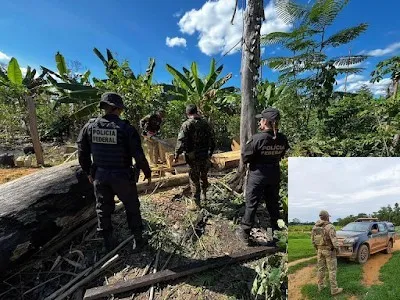 PF deflagra operação contra grilagem e incêndio criminoso em terra indígena de Guajará-Mirim e Nova Mamoré