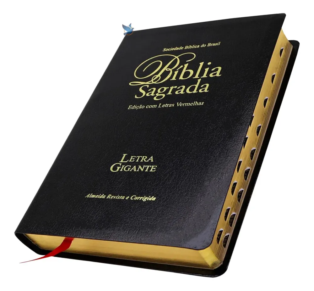 O DIA DA BÍBLIA SAGRADA
