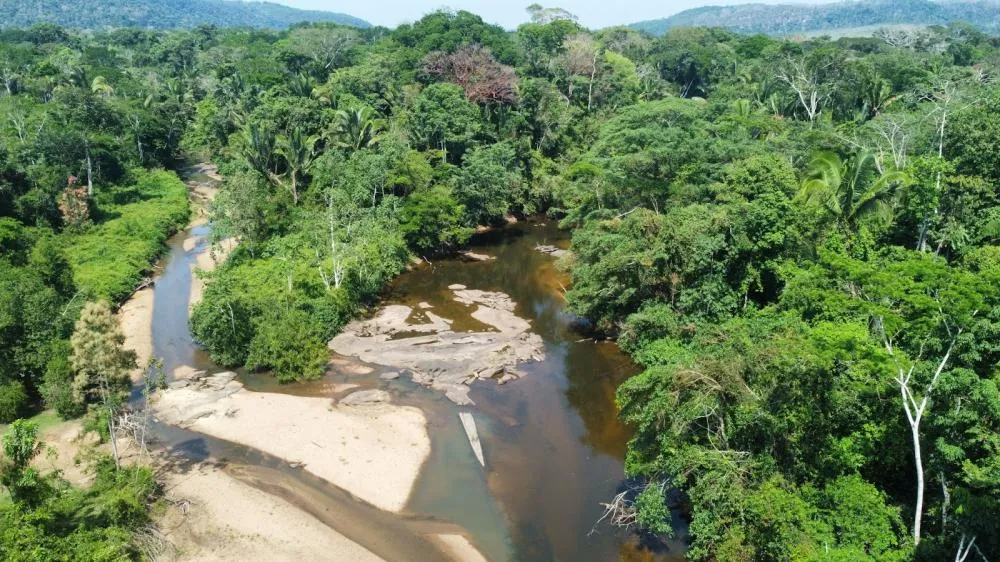 TRÊS ASSOCIAÇÕES DAS RESERVAS EXTRATIVISTAS JÁ ESTÃO CONTRATADAS PARA RECEBER PELA PRESERVAÇÃO AMBIENTAL EM PARCERIA COM A EMPRESA ARCA