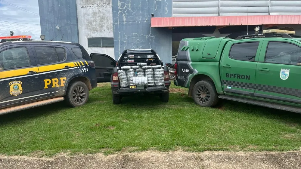 Operação conjunta prende quatro e apreende mais de 42 kg de maconha