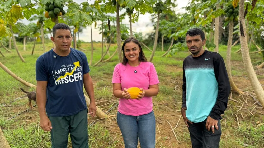 Deputada Dra. Taíssa visita produtor de hidroponia em Urupá e destaca força da agricultura familiar