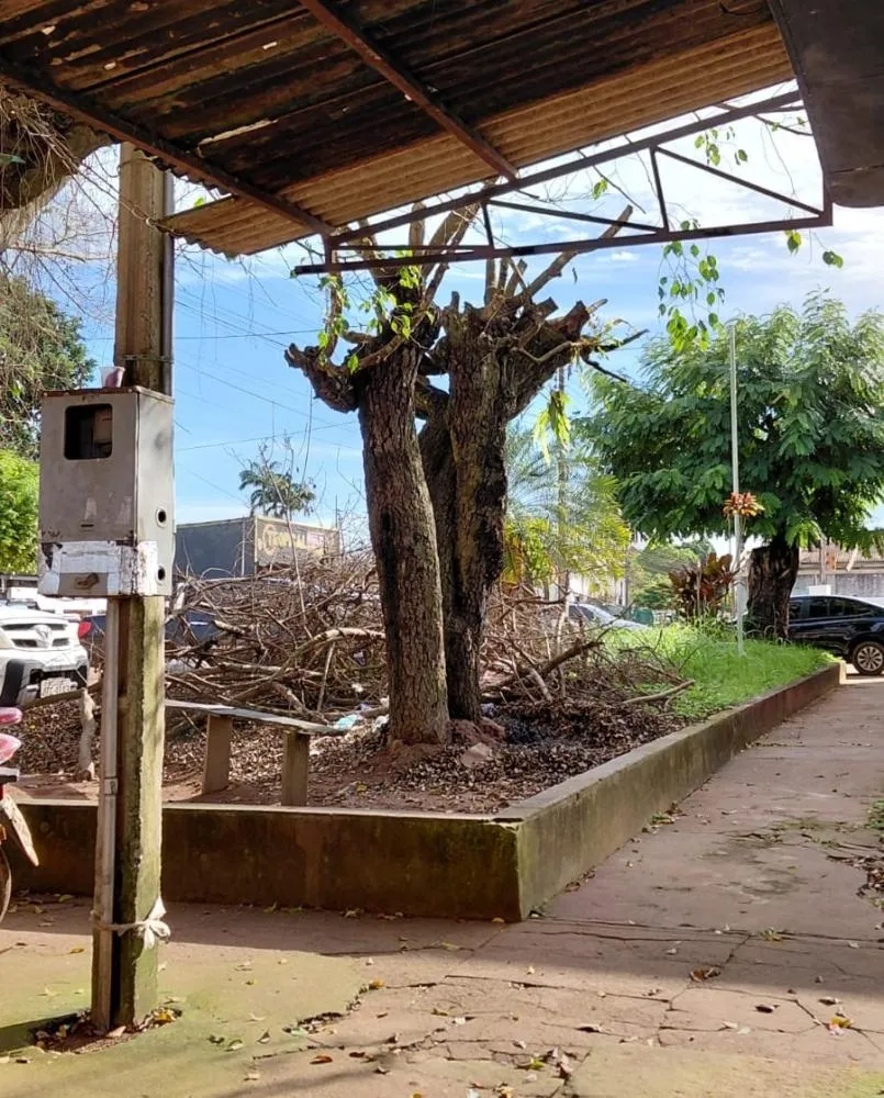 POPULAÇÃO COBRA PROVIDÊNCIAS NA LIMPEZA DE ÁREA EM FRENTE A ÓRGÃO PÚBLICO EM GUAJARÁ-MIRIM