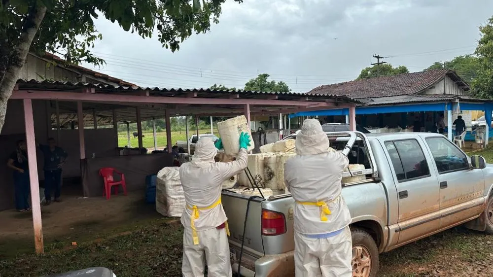 PROGRAMA 89 EM ALERTA DESTACA AÇÃO DE RECOLHIMENTO DE EMBALAGENS VAZIAS DE AGROTÓXICOS EM GUAJARÁ-MIRIM