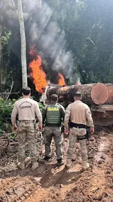PF, Funai, Ibama e EB combatem crimes ambientais em Guajará-Mirim e Nova Mamoré